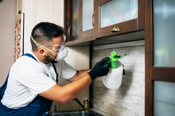 Best Pest Inspection Near Me  in Belle, WV