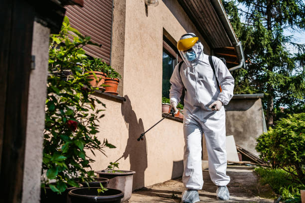 Trusted Belle, WV Pest Control Experts